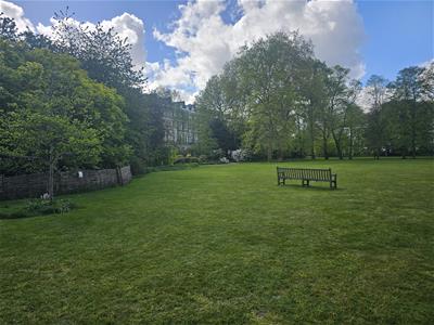 Picture 15
